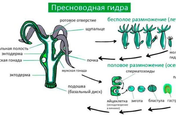 Наркотики заказать
