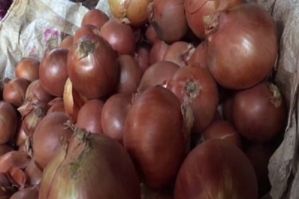 Ссылки на кракена и на мегу