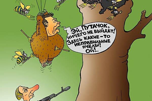 Ссылка на кракен тор магазин