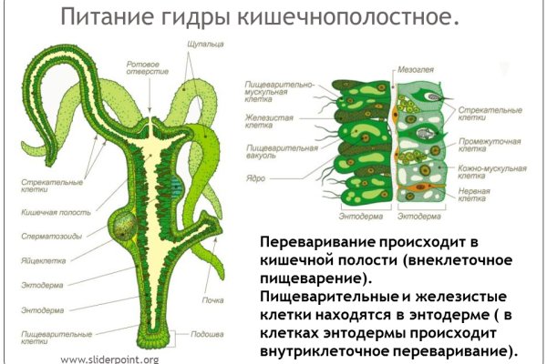 Кракен адрес тор