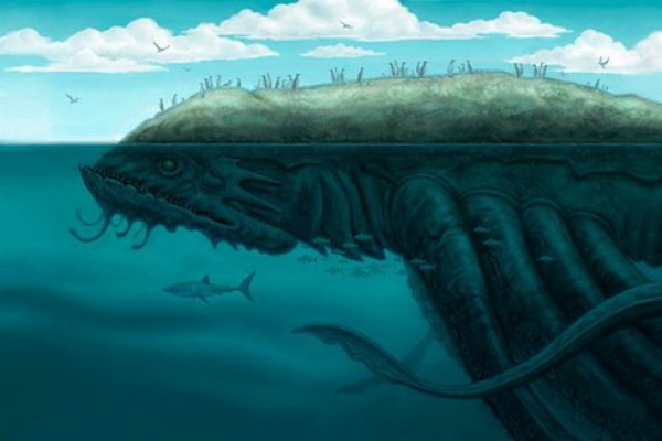 Kraken 24 at
